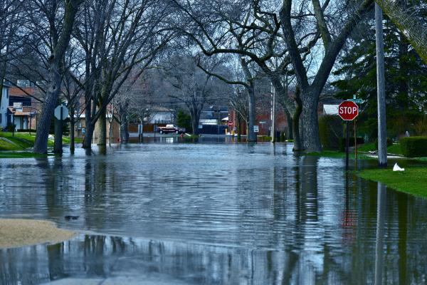 Soñar con Calle Llena de Agua