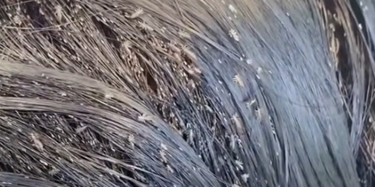 ¿Qué pasa cuando uno sueña con alguien?