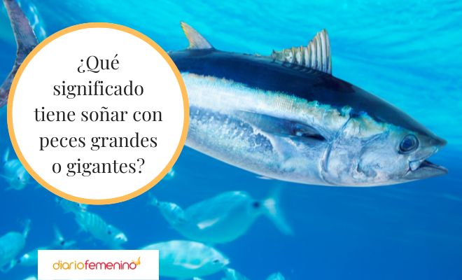 ¿Qué significa soñar con pescado dentro del agua?