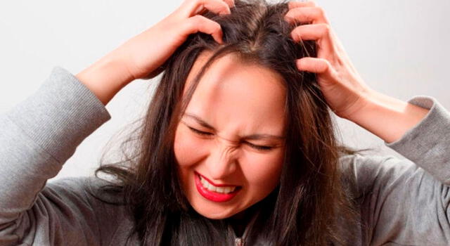 ¿Por qué se sueña con piojos?