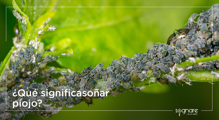 ¿Qué pasa cuando uno sueña con alguien?