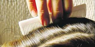 ¿Cuál es el número de los piojos en la quiniela?