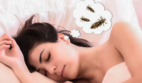 ¿Qué número es soñar con piojos en la cabeza?