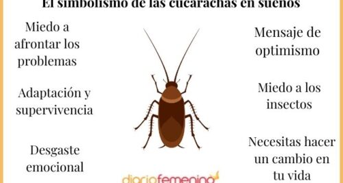 soñar con piojos y cucarachas