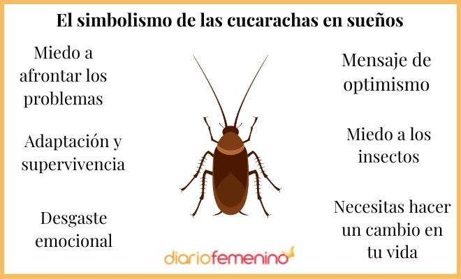 soñar con piojos y cucarachas