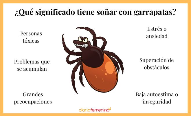 soñar con piojos y garrapatas