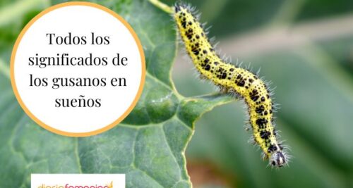 soñar con piojos y gusanos