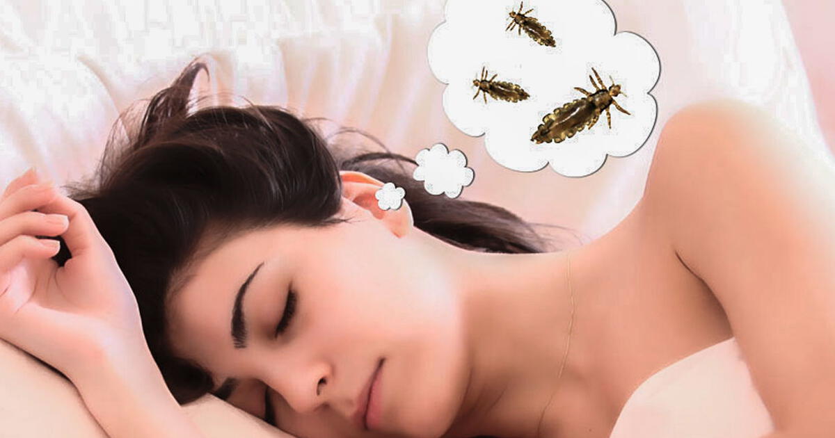 ¿Qué significa soñar con piojos y que uno los mata?