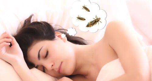 soñar con sacar piojos y matarlos